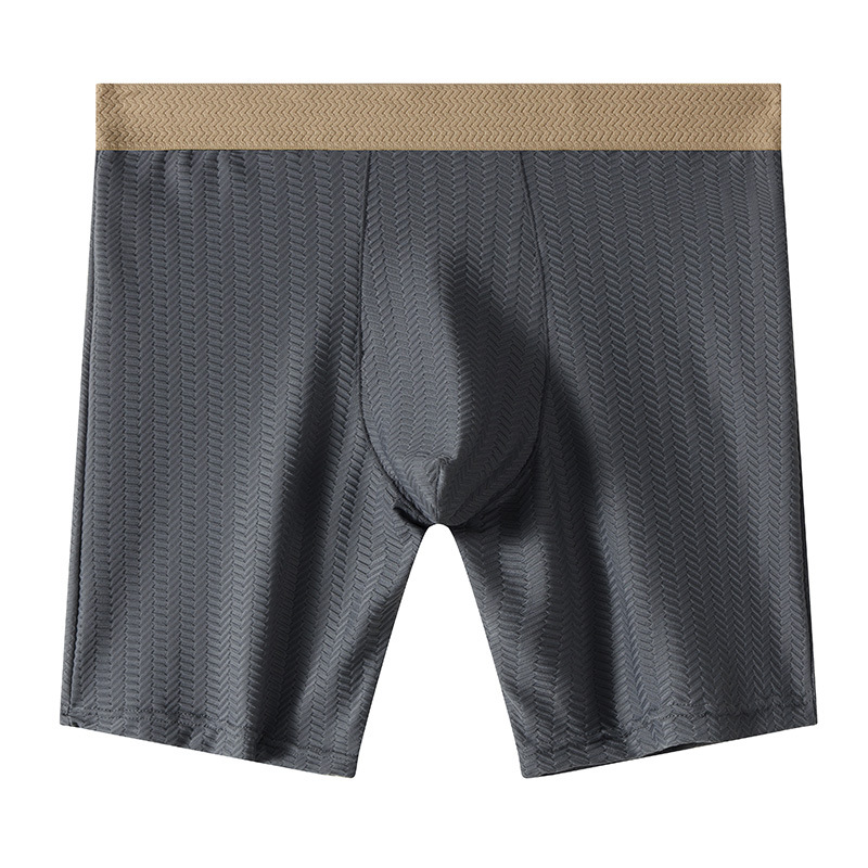 Mens Boxer Shorts Homme Nylon  - Long Leg Trunk Men 리뷰 및 가격