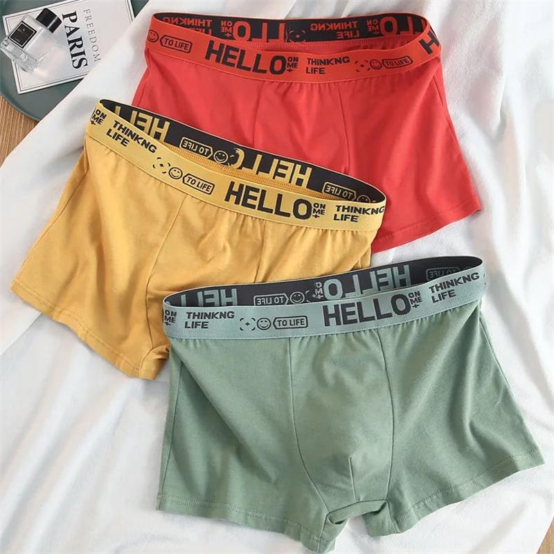10Pieces/ Men's Underwear Men  - Boxer Brief Pack Cotton 리뷰 및 가격