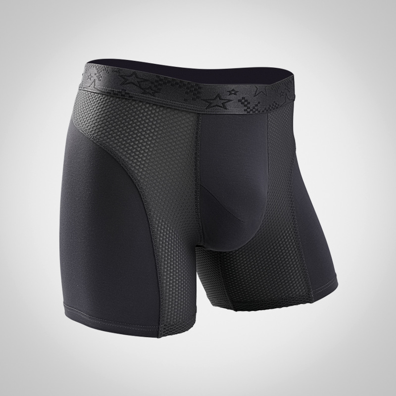 L-6XL Large Size Mens Mesh Mod - Mesh Sport Boxer 리뷰 및 가격