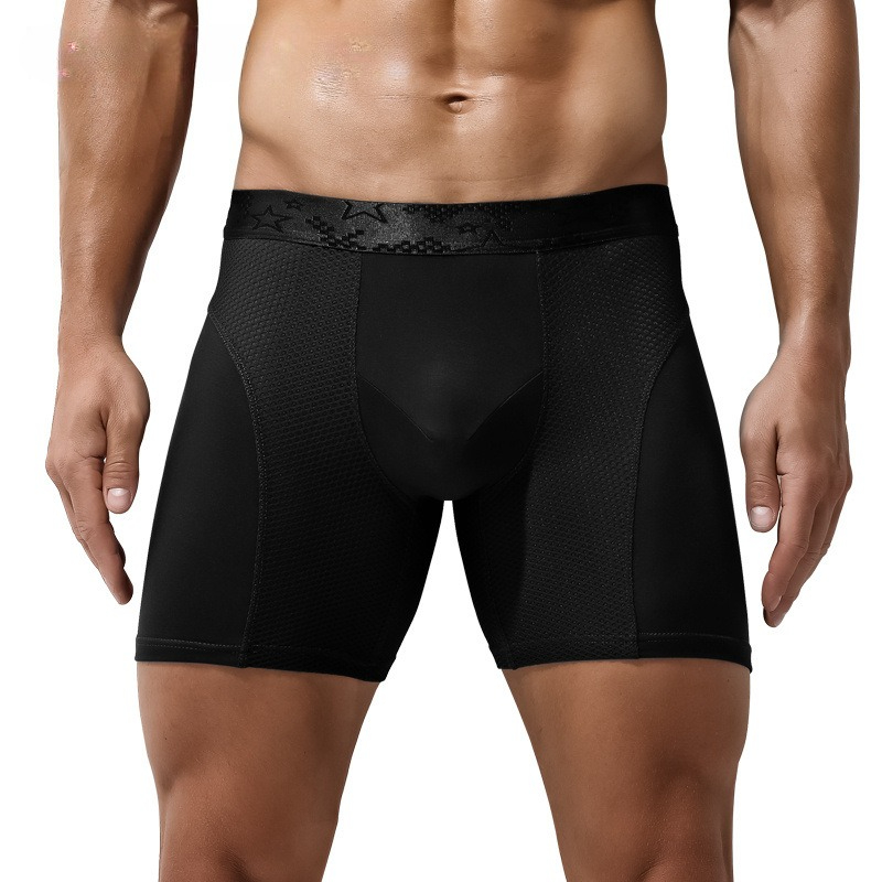 L-6XL Large Size Mens Mesh Mod - Mesh Sport Boxer 리뷰 및 가격