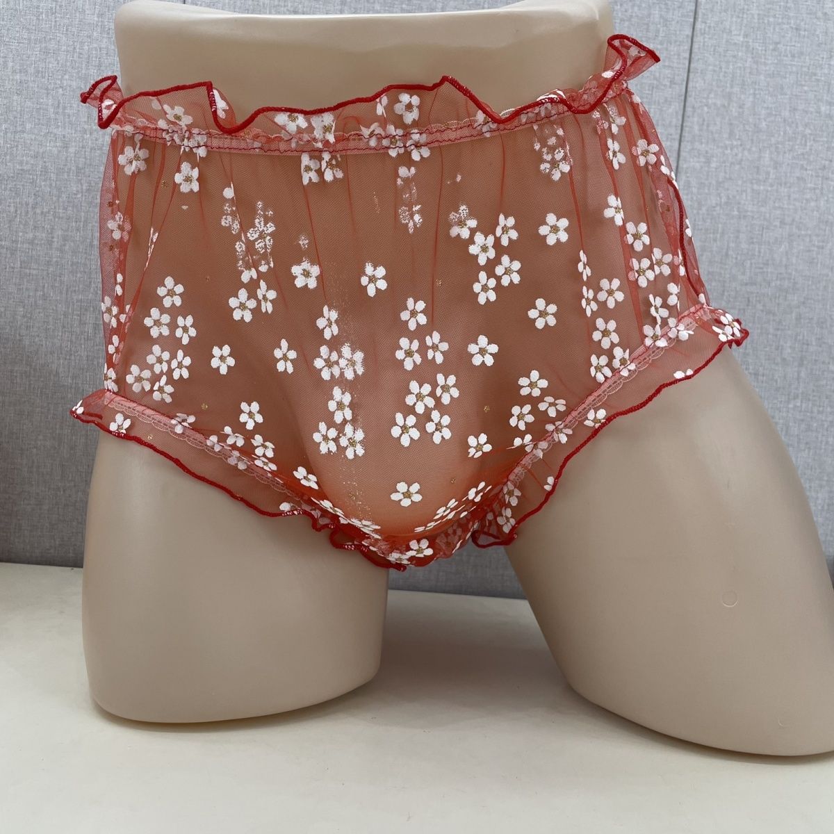 Mesh Men's Briefs Front Widene - Pouch Boxer Pouch 리뷰 및 가격