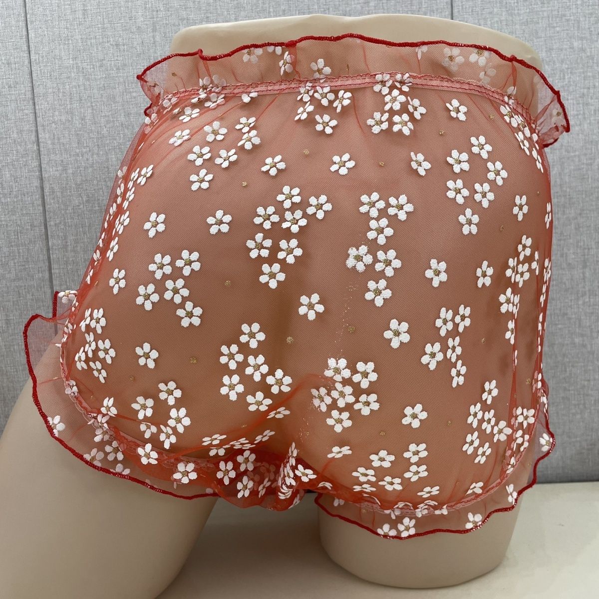 Mesh Men's Briefs Front Widene - Pouch Boxer Pouch 리뷰 및 가격