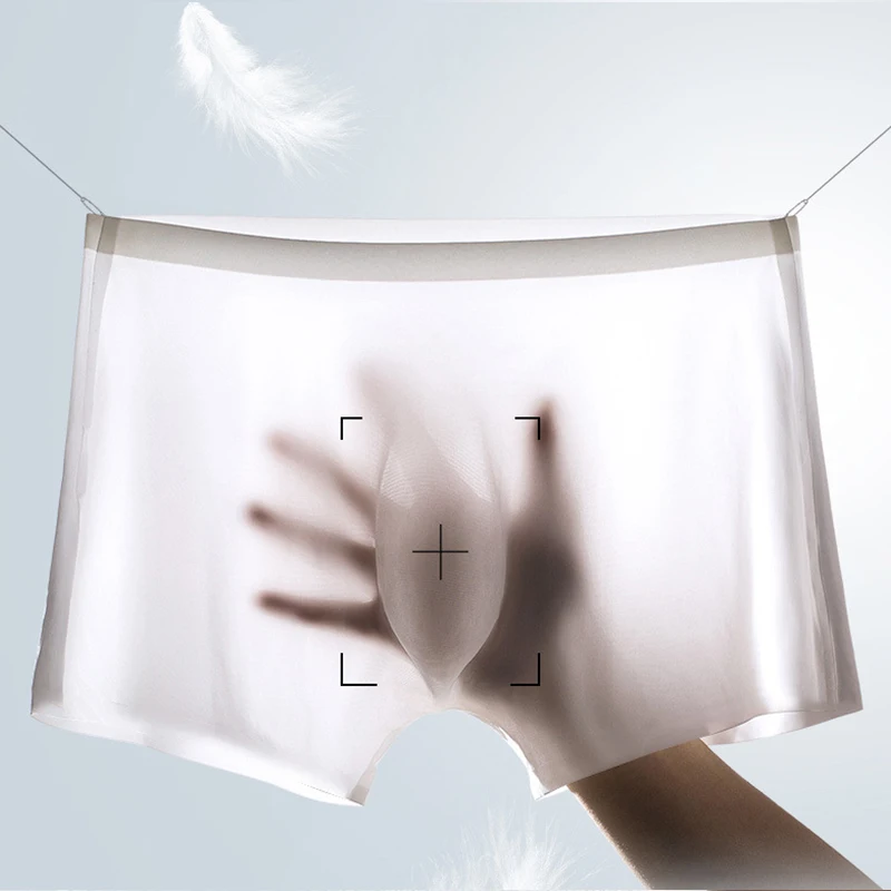 10 Pcs/Lot Men's Summer Ice Si - Multi Pack Underwear 리뷰 및 가격