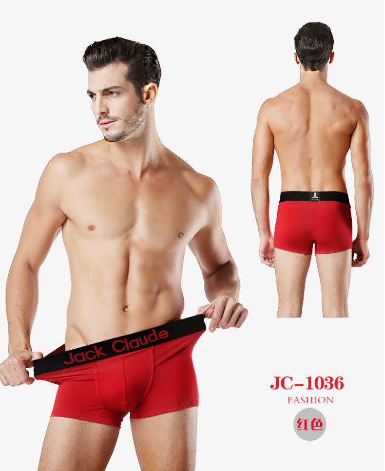 10Pcs/Lot Mens Underwear Boxer - Multi Pack Underwear 리뷰 및 가격