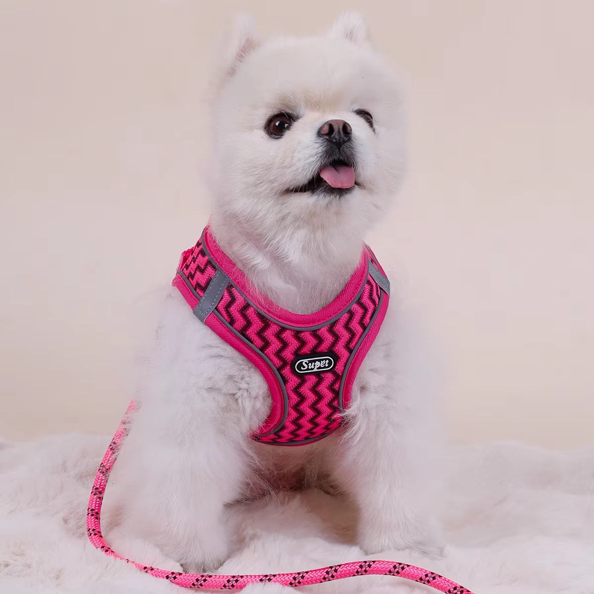 Supet Pet Cat and Dog Chest St - Suspender Tank Top 리뷰 및 가격