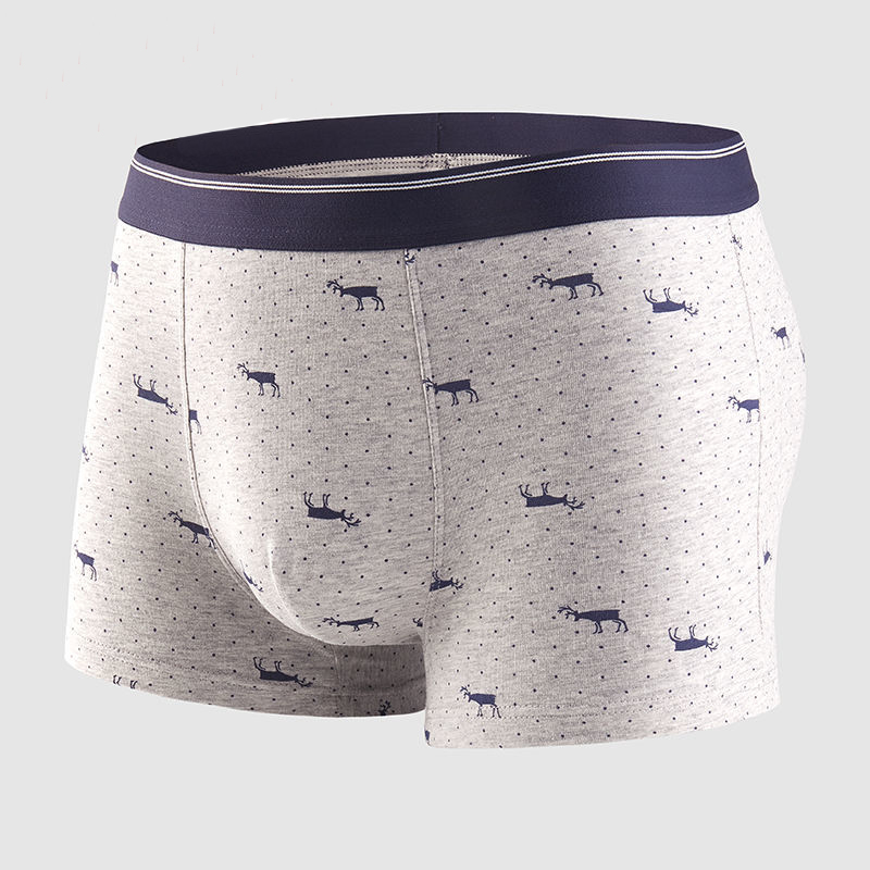 4pcs Men's Panties Sexy Shorts - Boxer Brief Pack Cotton 리뷰 및 가격