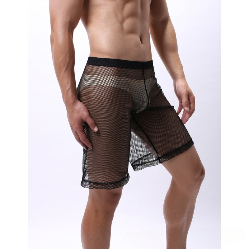 Low Rise Mesh Erotic Underwear - Pouch Boxer Pouch 리뷰 및 가격