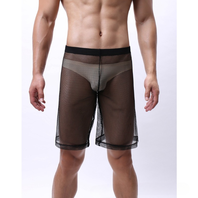 Low Rise Mesh Erotic Underwear - Pouch Boxer Pouch 리뷰 및 가격