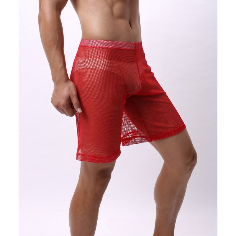 Low Rise Mesh Erotic Underwear - Pouch Boxer Pouch 리뷰 및 가격