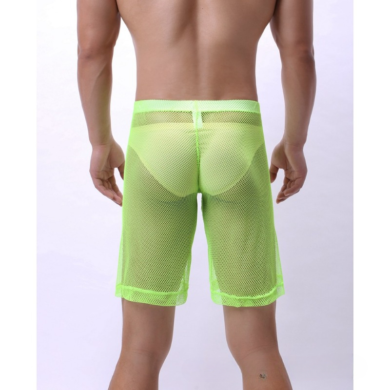 Low Rise Mesh Erotic Underwear - Pouch Boxer Pouch 리뷰 및 가격