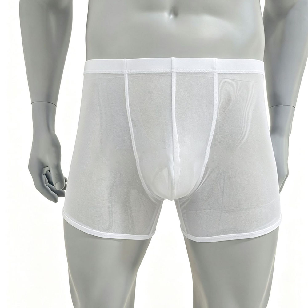 Men Mesh See-through Ultra-thi - Long Leg Trunk Men 리뷰 및 가격