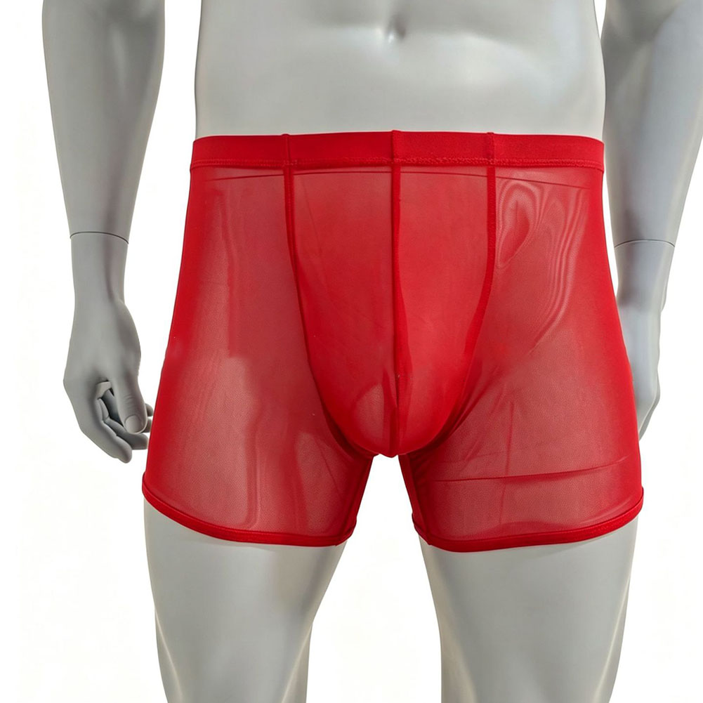Men Mesh See-through Ultra-thi - Long Leg Trunk Men 리뷰 및 가격