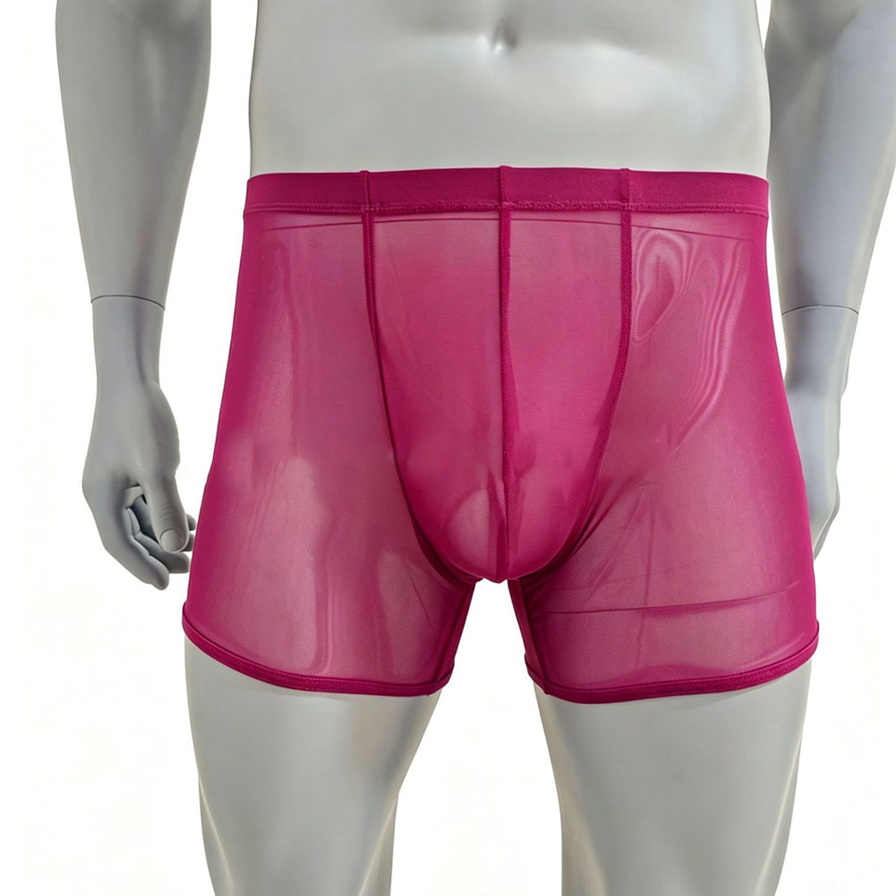 Men Mesh See-through Ultra-thi - Long Leg Trunk Men 리뷰 및 가격