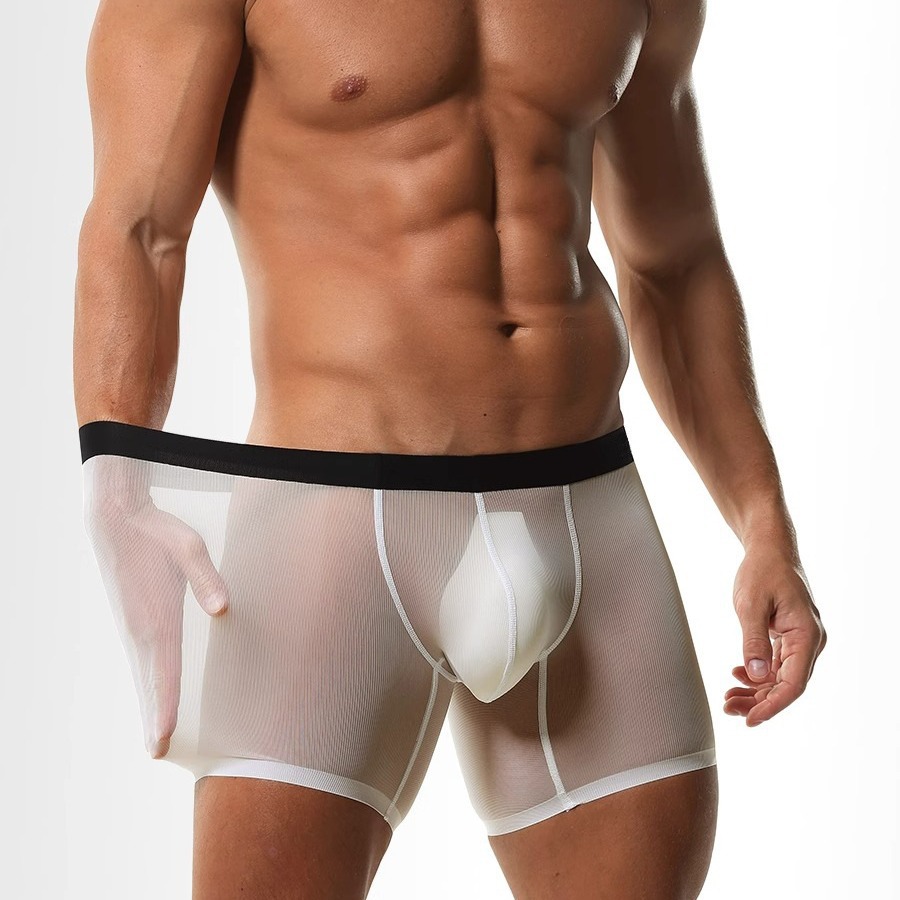 Mens Long Leg Boxer Shorts Ice - Long Leg Trunk Men 리뷰 및 가격