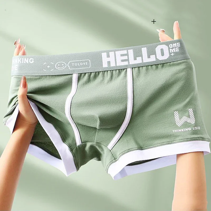 Men Panties Cotton BoxerShorts - Boxer Brief Pack Cotton 리뷰 및 가격