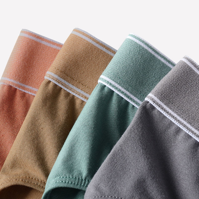 4Pcs/Lot Men's Briefs Sexy Und - Multi Pack Underwear 리뷰 및 가격