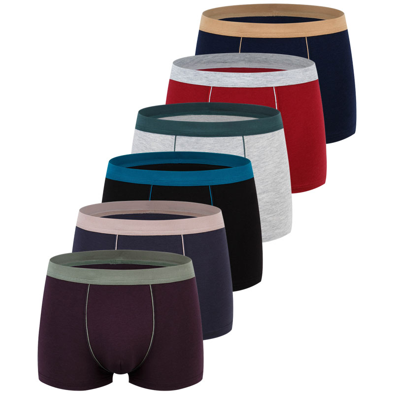 Large Size Seamless Underwear  - Boxer Brief Pack Cotton 리뷰 및 가격