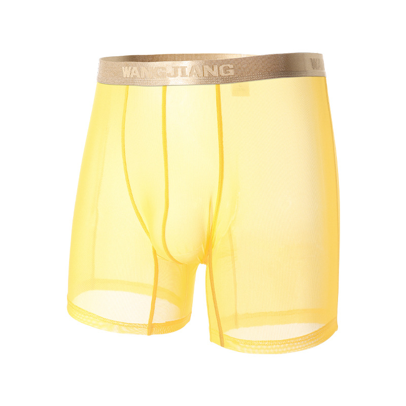 Wangjiang Men's Mesh Boxer Sho - Mesh Sport Boxer 리뷰 및 가격