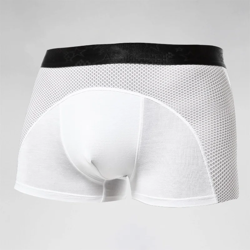 Men's underwear, men's ice sil - Mesh Sport Boxer 리뷰 및 가격
