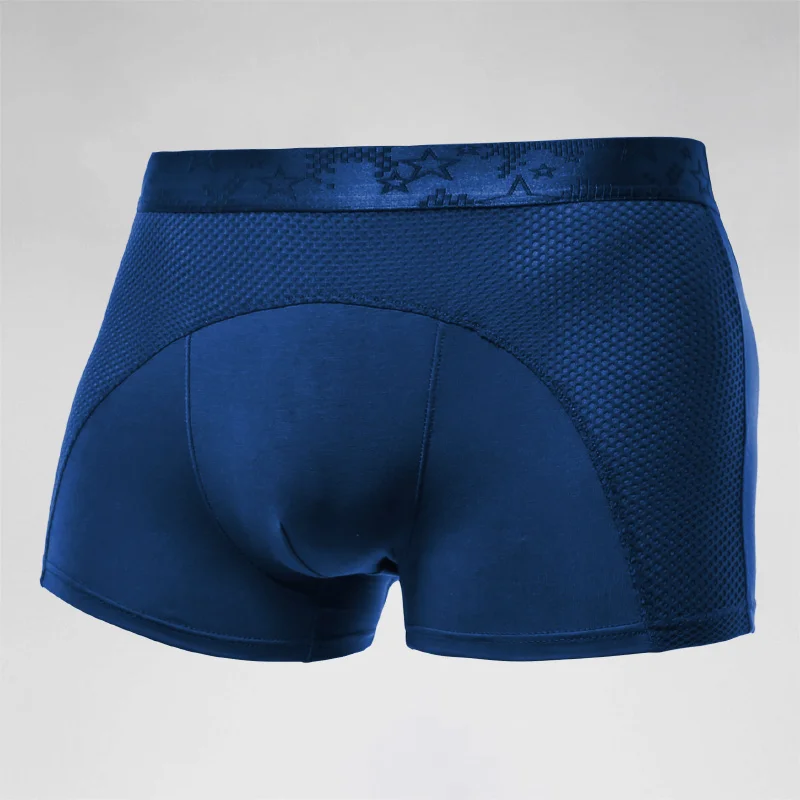 Men's underwear, men's ice sil - Mesh Sport Boxer 리뷰 및 가격